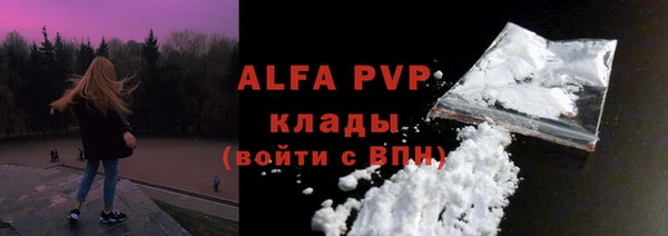 СК Горно-Алтайск