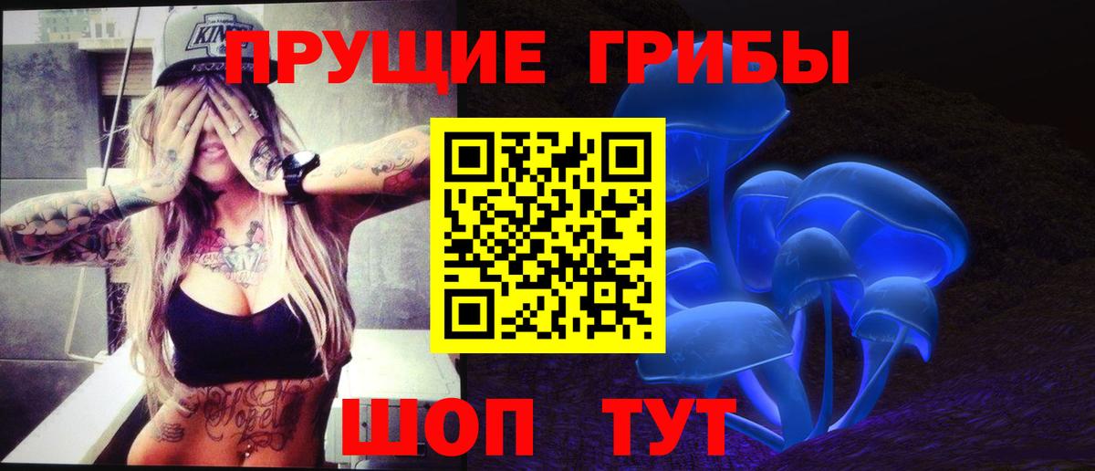 Псилоцибиновые грибы Cubensis Белогорск